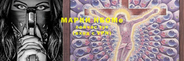 прущий лед Алзамай
