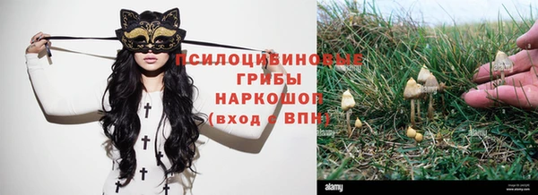 герыч Аркадак
