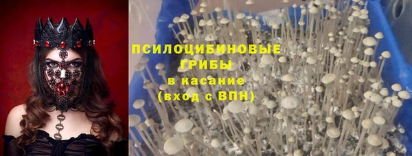 ПСИЛОЦИБИНОВЫЕ ГРИБЫ Алексеевка