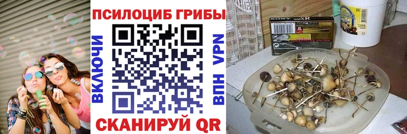 Псилоцибиновые грибы Psilocybine cubensis  как найти закладки  Лахденпохья 
